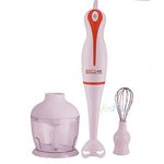 Mixeur Plongeant 3 EN 1 au meilleur prix au Maroc