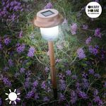 Lampe Solaire Copper Garden Oh My Home au meilleur prix au Maroc