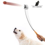 Lance-Balles pour Chiens Premium Pet Prior au meilleur prix au Maroc