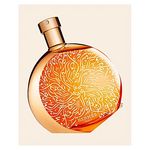 Hermes Elixir des Merveilles Edition Collector d'Hermès - Eau de Parfum 100ml au meilleur prix au Maroc