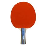 RAQUETTE DE PING PONG au meilleur prix au Maroc