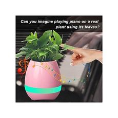 Smart  Music Pot de plantes créatives 4 en 1 Bluetooth haut-parleur veilleuse et Piano a Touché Plantes au meilleur prix au Maroc