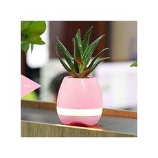 Smart  Music Pot de plantes créatives 4 en 1 Bluetooth haut-parleur veilleuse et Piano a Touché Plantes au meilleur prix au Maroc