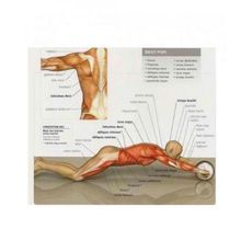 Roue d'exercice Abdominaux - RAMO au meilleur prix au Maroc