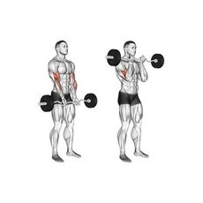 Barre Musculation Ez Chrome au meilleur prix au Maroc