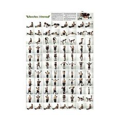 Revoflex Xtreme-Appareil de musculation et Abdominaux - tvshop au meilleur prix au Maroc