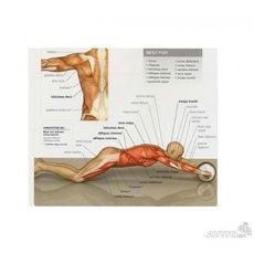 Roue Abdominale Multifonctions au meilleur prix au Maroc