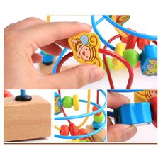 Queue de Dragon au meilleur prix au Maroc