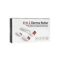 TOP MODEL Derma Roller System Avec Des Aiguilles De Titanium 4 in 1 au meilleur prix au Maroc