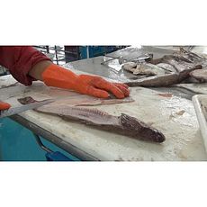 MZ.Lux Couteau et eplucheur De Nettoyage 2 en 1- Eplucheur Grattage des Ecailles de Poisson - Rose au meilleur prix au Maroc