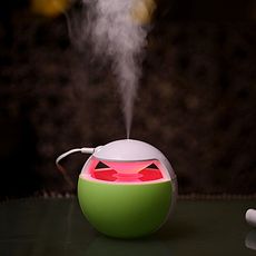 USB Mini veilleuse Humidificateur d'air -Night Elves capacite 450ml - Vert au meilleur prix au Maroc