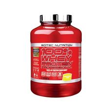 WHEY 100% PROTEIN PROFESSIONAL au meilleur prix au Maroc