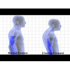 ORIGINALE ROYAL POSTURE-CORRECTEUR DE POSTURE au meilleur prix au Maroc