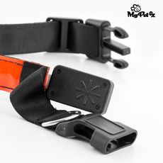 Collier LED pour Chiens My Pet EZ au meilleur prix au Maroc