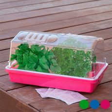 Mini Serre pour Pépinière au meilleur prix au Maroc