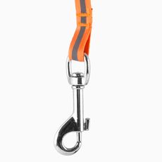 Laisse pour Chien Extensible Pet Prior (5 m) au meilleur prix au Maroc