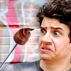 Caca en Plastique au meilleur prix au Maroc