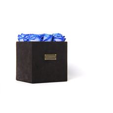 Da Vinci Box au meilleur prix au Maroc