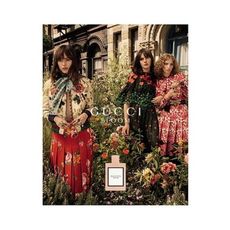Gucci Bloom - Eau de Parfum 50ml au meilleur prix au Maroc