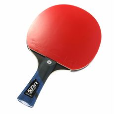 RAQUETTE PERFORM 500 2014 au meilleur prix au Maroc