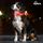 Collier LED pour Chiens My Pet EZ au meilleur prix au Maroc