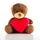 Petit Ours en Peluche avec Coeur au meilleur prix au Maroc