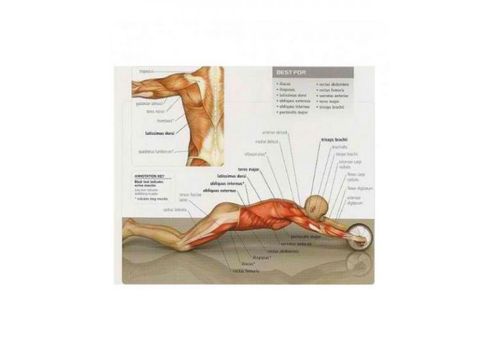 Roue d'exercice Abdominaux - RAMO au meilleur prix au Maroc