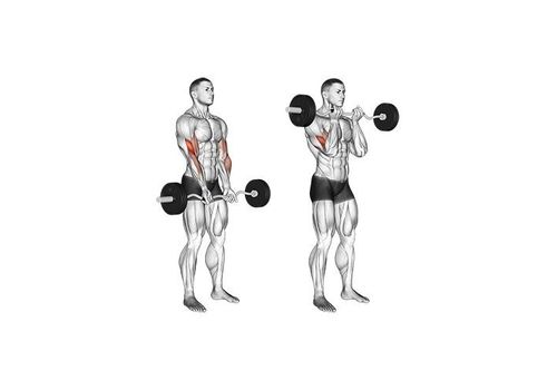 Barre Musculation Ez Chrome au meilleur prix au Maroc