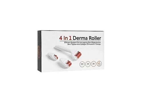 TOP MODEL Derma Roller System Avec Des Aiguilles De Titanium 4 in 1 au meilleur prix au Maroc
