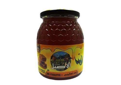 Miel d’eucalyptus au meilleur prix au Maroc