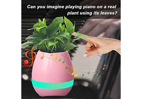 Smart Music Pot de plantes creatives 4 en 1 Bluetooth haut-parleur veilleuse et Piano a Touche Plantes-Music FlowerPot-Rose au meilleur prix au Maroc