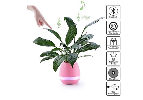 Smart Music Pot de plantes creatives 4 en 1 Bluetooth haut-parleur veilleuse et Piano a Touche Plantes-Music FlowerPot-Rose au meilleur prix au Maroc