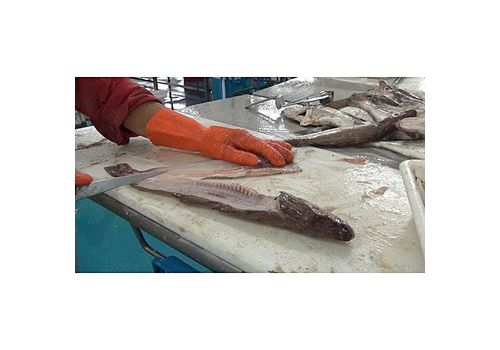 MZ.Lux Couteau et eplucheur De Nettoyage 2 en 1- Eplucheur Grattage des Ecailles de Poisson - Rose au meilleur prix au Maroc