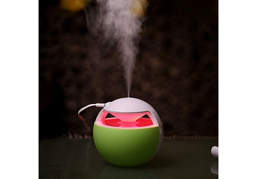 USB Mini veilleuse Humidificateur d'air -Night Elves capacite 450ml - Vert au meilleur prix au Maroc