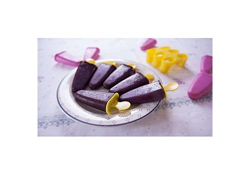 TITIZ 6 moules popsicle pour faire de la glace au meilleur prix au Maroc