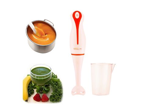 Mixeur Plongeant 300W 650ml au meilleur prix au Maroc
