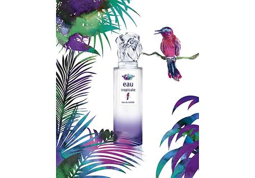 Eau Tropicale de Sisley Eau de Toilette 50ml au meilleur prix au Maroc