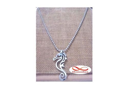 Chaine avec Pendentif Argenté En Acier Inoxydable au meilleur prix au Maroc