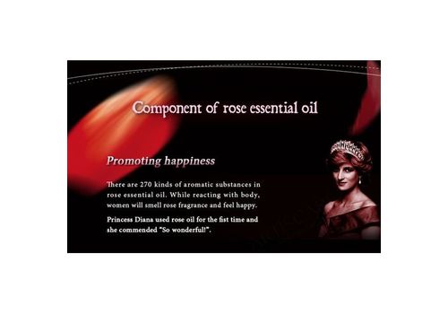 Soins de la peau Lavande huile essentielle Liquide Anti Rides Anti-Vieillissement Collagène Pur Essence Visage Blanchiment Crème de Jour Hydratante À L'huile au meilleur prix au Maroc