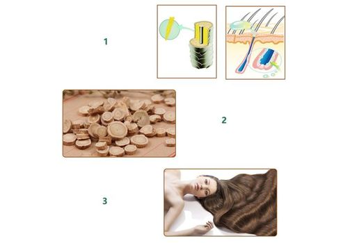 Huile Essentielle Soins Des Cheveux - 30 ml au meilleur prix au Maroc