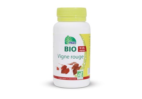 VIGNE ROUGE BIO MGD au meilleur prix au Maroc
