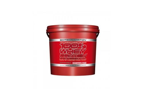 WHEY 100% PROTEIN PROFESSIONAL 5 KG SCITEC au meilleur prix au Maroc