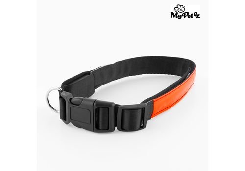 Collier LED pour Chiens My Pet EZ au meilleur prix au Maroc