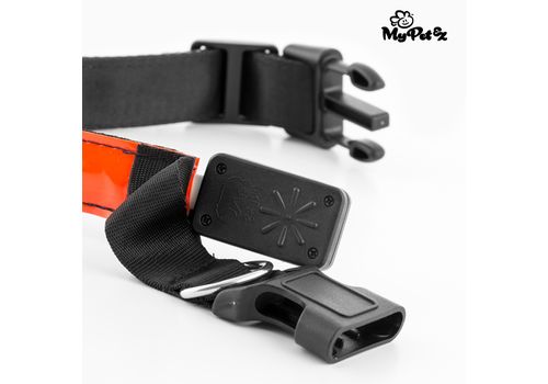 Collier LED pour Chiens My Pet EZ au meilleur prix au Maroc