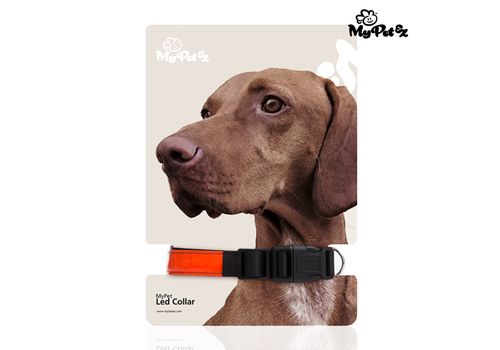 Collier LED pour Chiens My Pet EZ au meilleur prix au Maroc