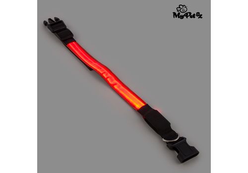 Collier LED pour Chiens My Pet EZ au meilleur prix au Maroc
