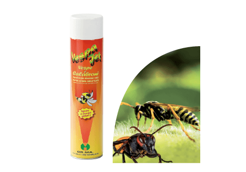 INSECTICIDE CONTRE GUEPES FRELONS au meilleur prix au Maroc