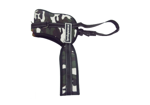 HARNAIS POUR CHIENS au meilleur prix au Maroc