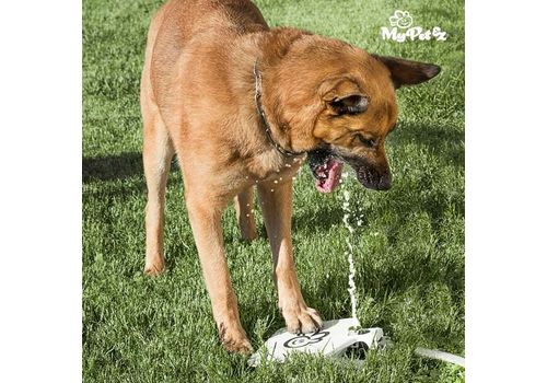 Fontaine à pédale pour Animaux de compagnie My Pet Ez au meilleur prix au Maroc