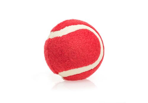 Lanceur de Balles pour Chiens Pet Prior au meilleur prix au Maroc